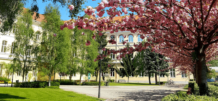 Modern irodai környezet - Könyvelő állás Debrecen belvárosában az Agora Office Irodaházban Könyvelő állás Debrecen belvárosában az Agora Office Irodaházban